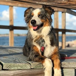 Meet your Posher, Zachary